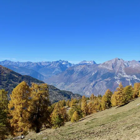 Pracondu 1 204 - Outdoor & Fun Charming