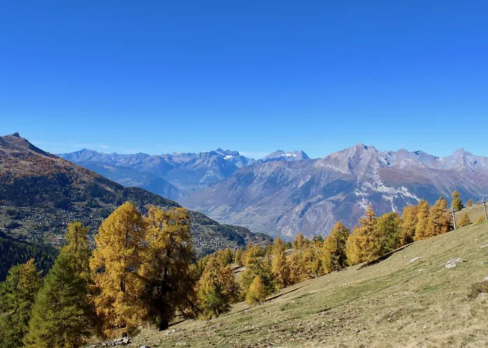 Pracondu 1 204 - Outdoor & Fun Charming